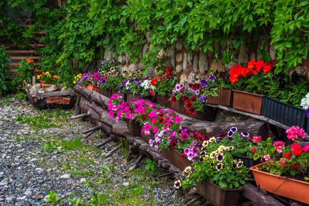 זקופאנה Pokoje Z Widokiem Na Gory I Prywatny Domek Z Zadaszona Altana - Grillem I Ogniskiem. מראה חיצוני תמונה